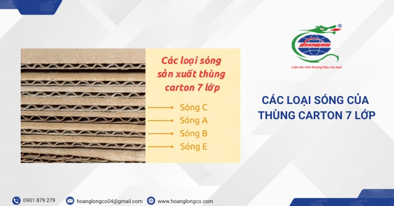 Các Loại Sóng Của Thùng Carton 7 Lớp