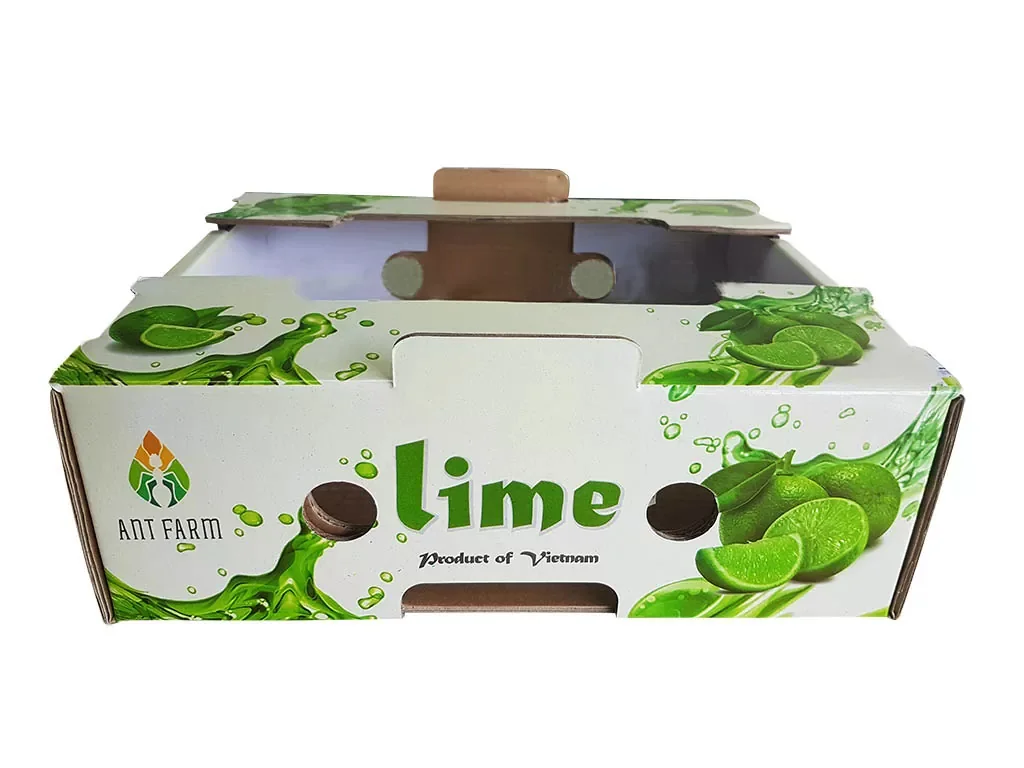 Hoàng Thịnh Phát-Công ty in hộp carton đựng trái cây xuất khẩu