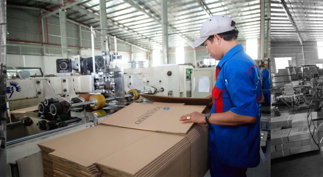 HOANG TRINH COLTD  Đồ Chơi Mô Hình SaGa Khủng Long Aini Smithi Có Khớp Linh