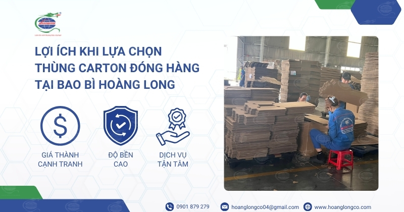 Lợi Ích Khi Lựa Chọn Thùng Carton Đóng Hàng Tại Bao Bì Hoàng Long