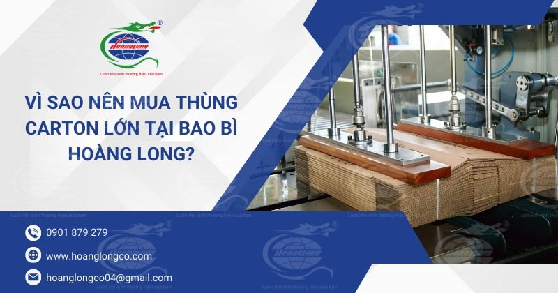 Vì Sao Nên Mua Thùng Carton Lớn Tại Bao Bì Hoàng Long