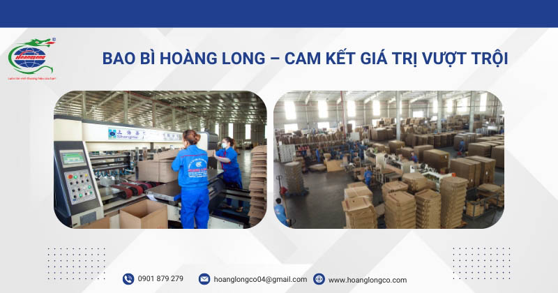 Bao bì Hoàng Long – Cam kết giá trị vượt trội