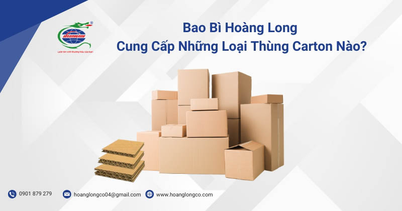 Bao Bì Hoàng Long Cung Cấp Những Loại Thùng Carton Nào