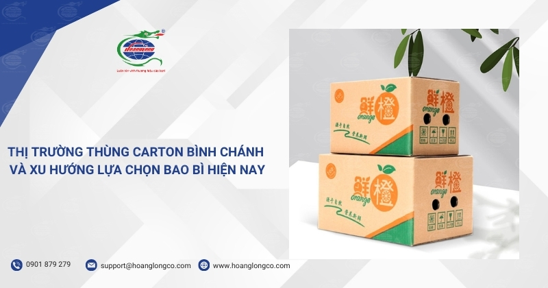 Thị Trường Thùng Carton Bình Chánh Và Xu Hướng Lựa Chọn Bao Bì Hiện Nay