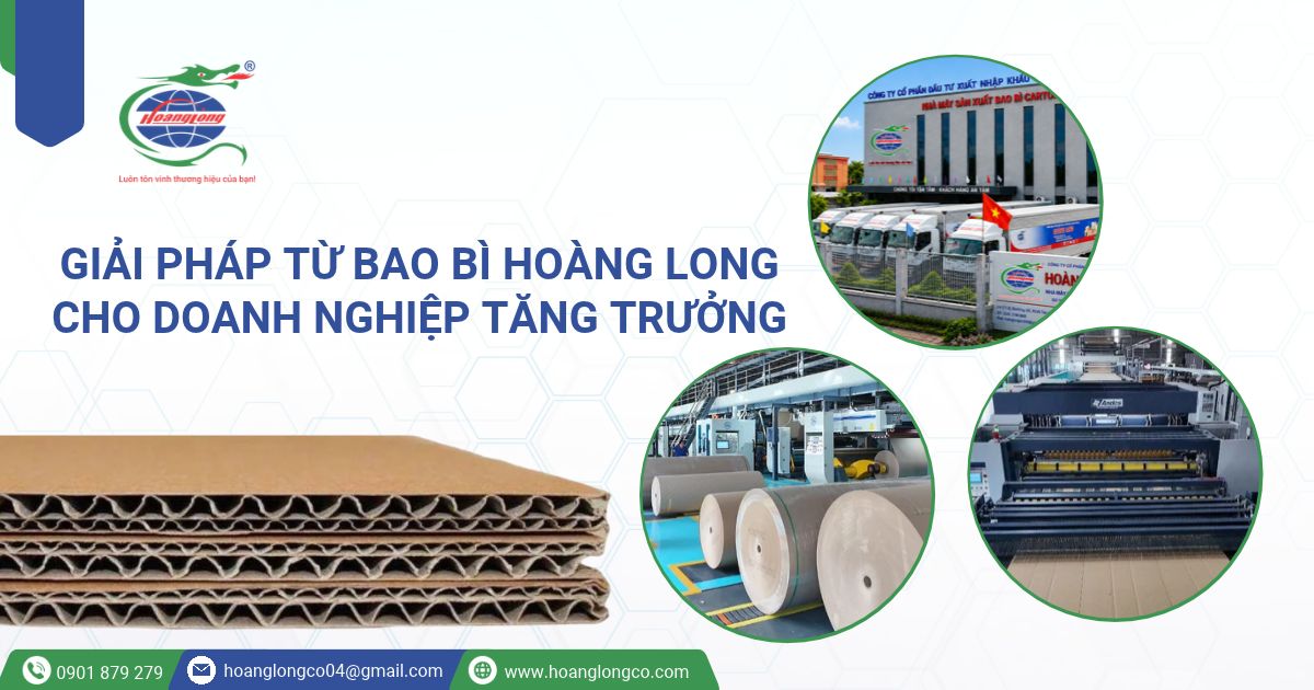 Giải pháp từ Bao Bì Hoàng Long cho doanh nghiệp tăng trưởng